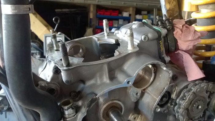 WP_20190601_004.jpg