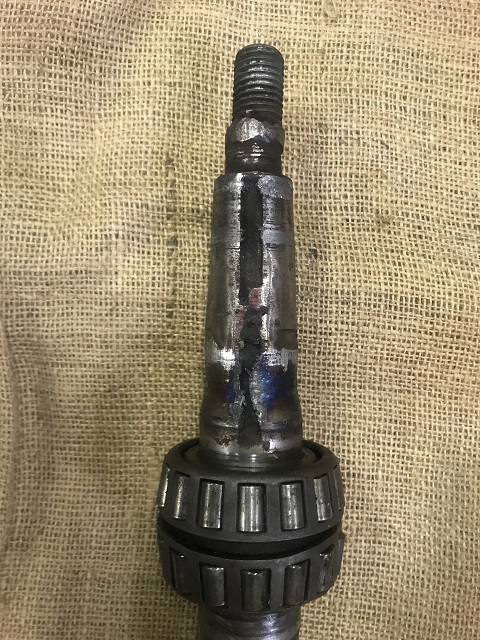 Arbre extremité.jpg