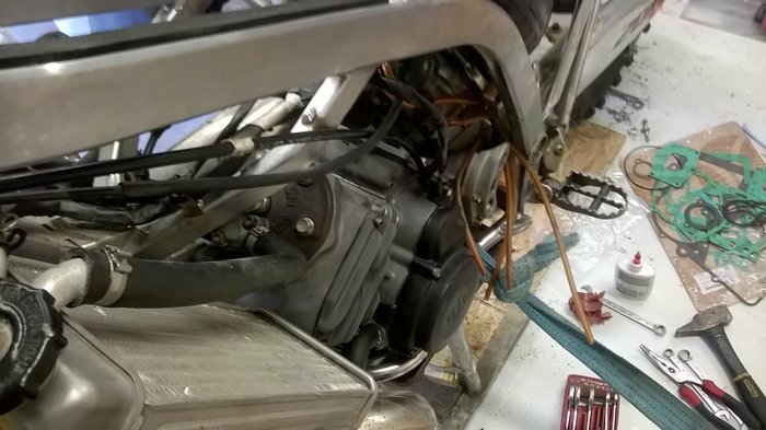WP_20190608_023.jpg