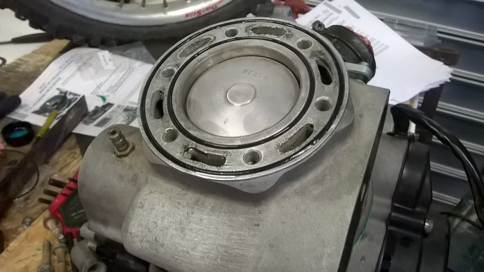 WP_20190608_021.jpg