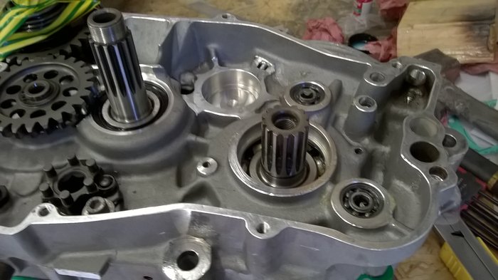 WP_20190608_007.jpg