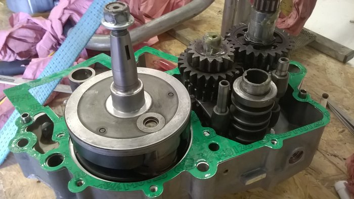 WP_20190608_005.jpg