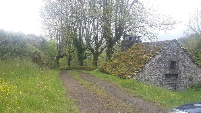 20190521_170832 - Copie.jpg