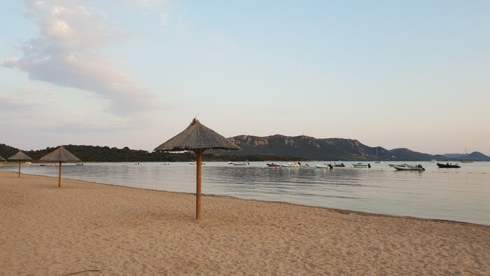 20190630_203029.jpg