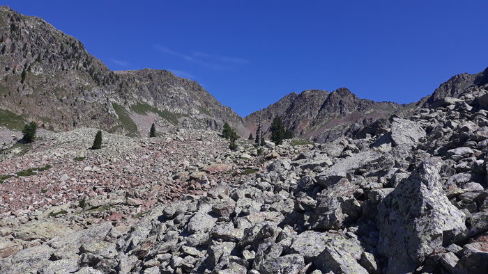 20190707_103443[1].jpg