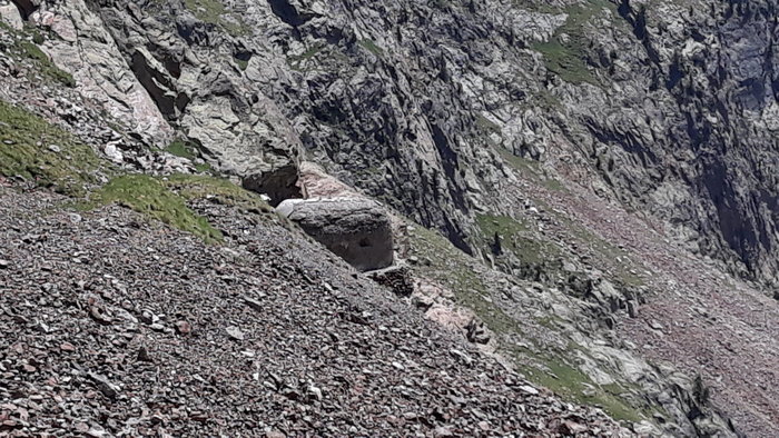 20190707_131643[1].jpg