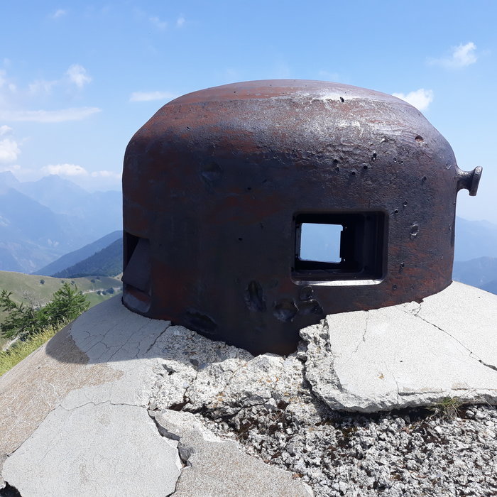 20190705_140604[1].jpg