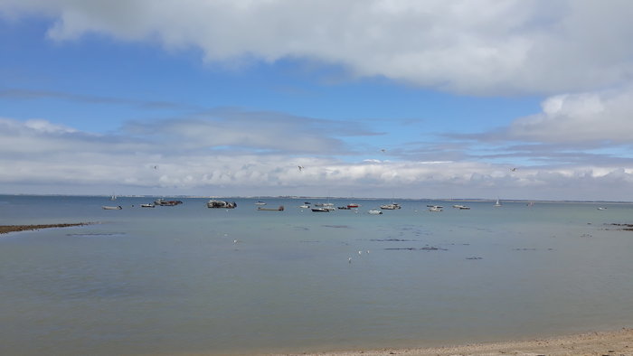 20190712_155334[1].jpg