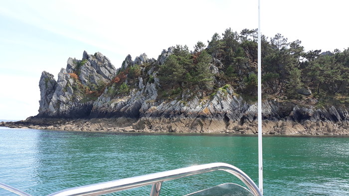 20190721_171427[1].jpg