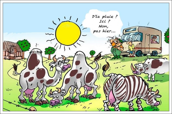 Canicule.jpg