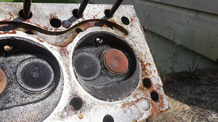 20190803_164411[1].jpg