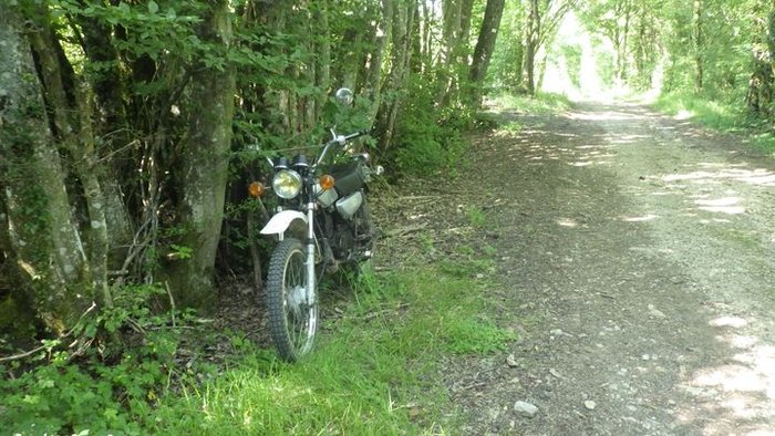 RIMG2609.JPG