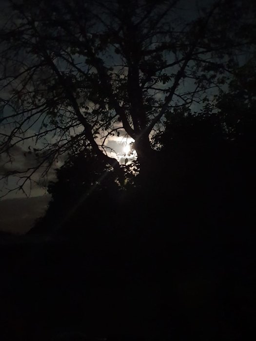 IMG-20190811-WA0002.jpg