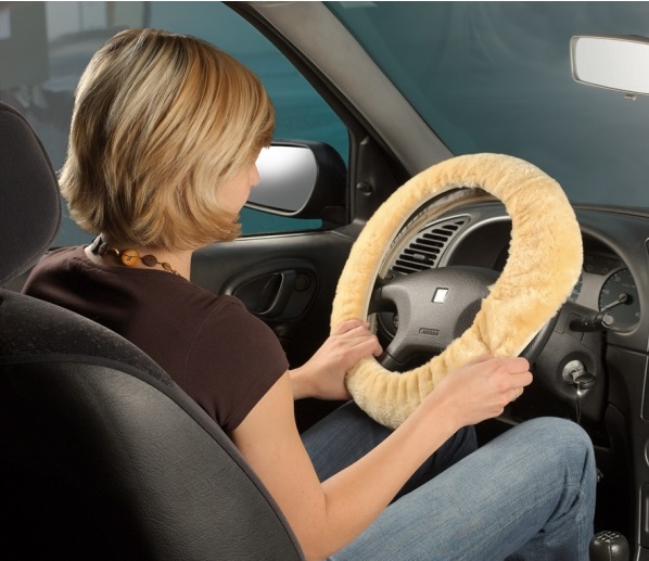 volant.jpg