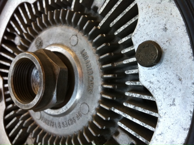 noire 40cm 8pales.JPG