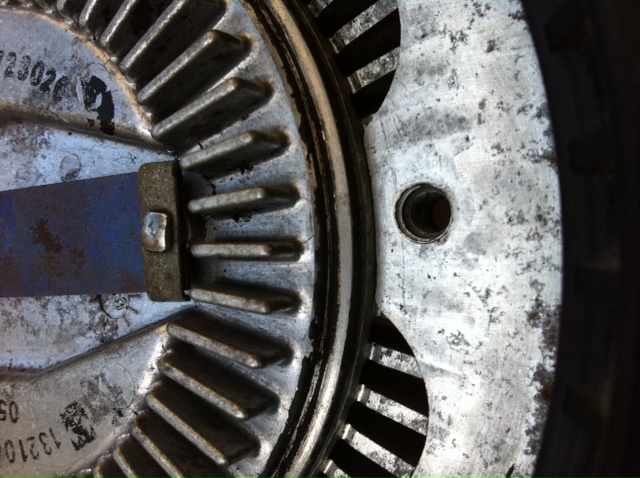 noire 40cm 8pales(2).JPG