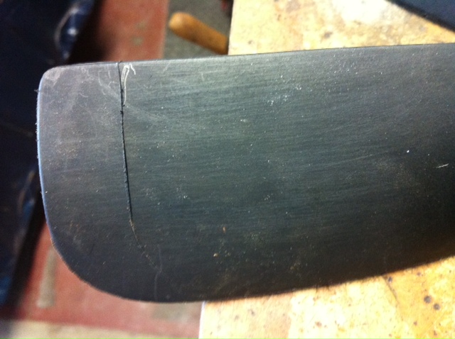 noire 8 pales 36cm (1).JPG