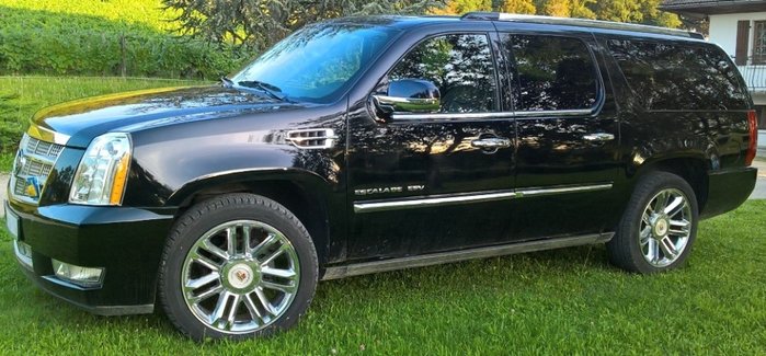 C.jpg
