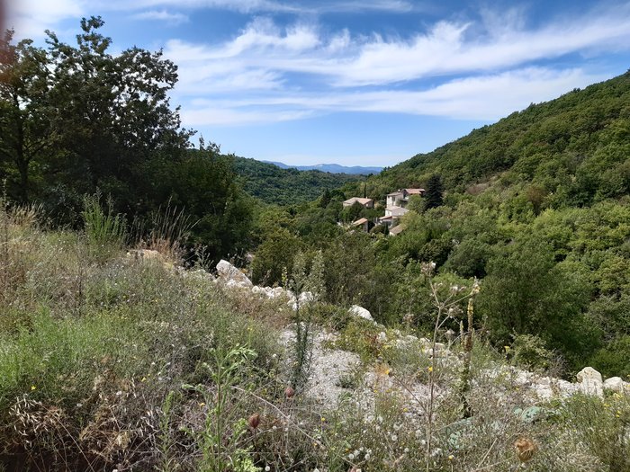20190821_153513.jpg