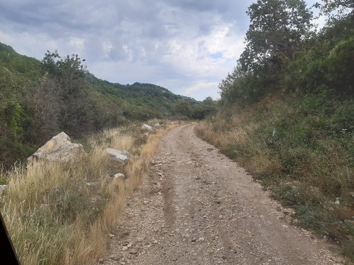 20190901_105613.jpg
