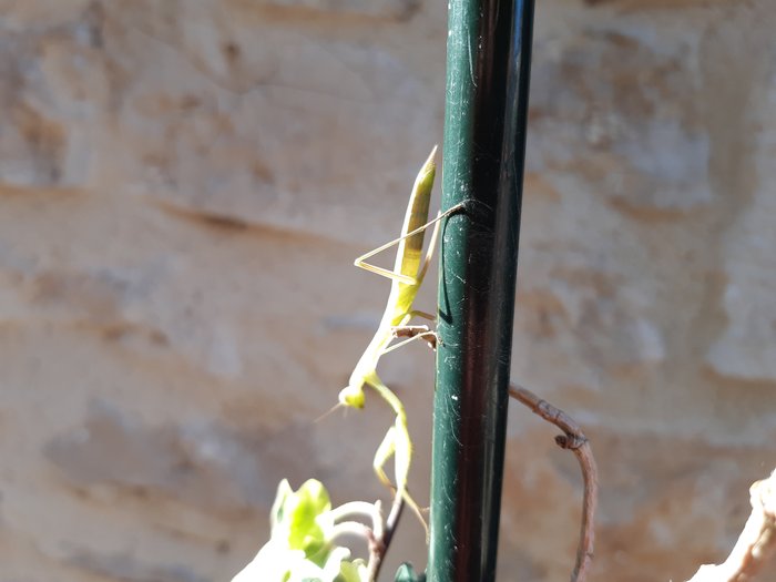 20190817_092136.jpg