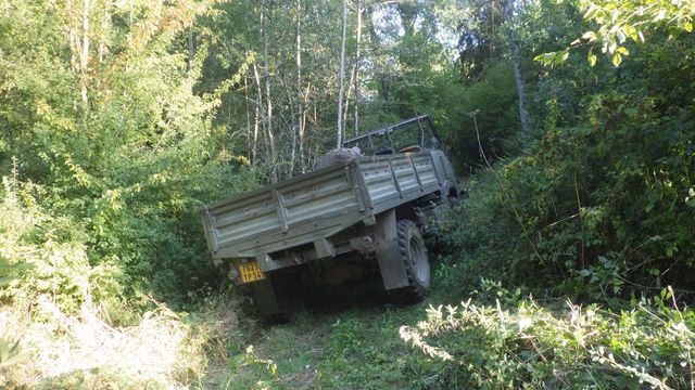 RIMG2677.JPG