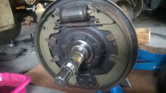 WP_20191117_001.jpg