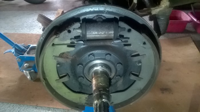 WP_20191117_002.jpg