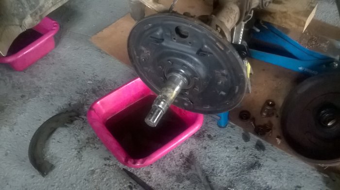 WP_20191117_003.jpg