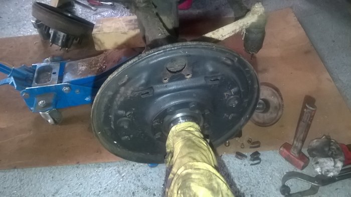 WP_20191117_004.jpg