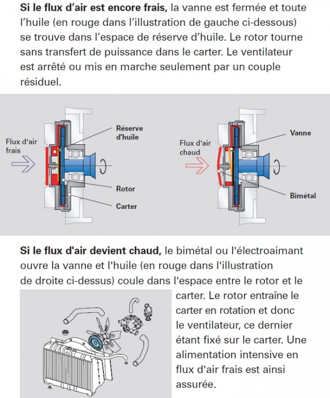 SACHS pdf.jpg