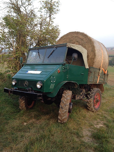 Unimog 02.jpg