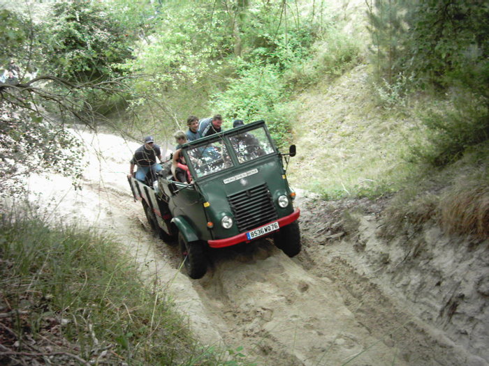 IMAG0006.JPG