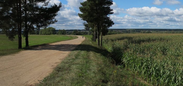 Route tertiaire.jpg