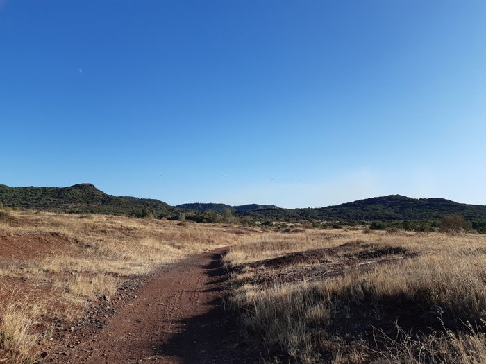 20190906_182509.jpg