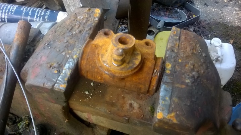 WP_20150914_003.jpg