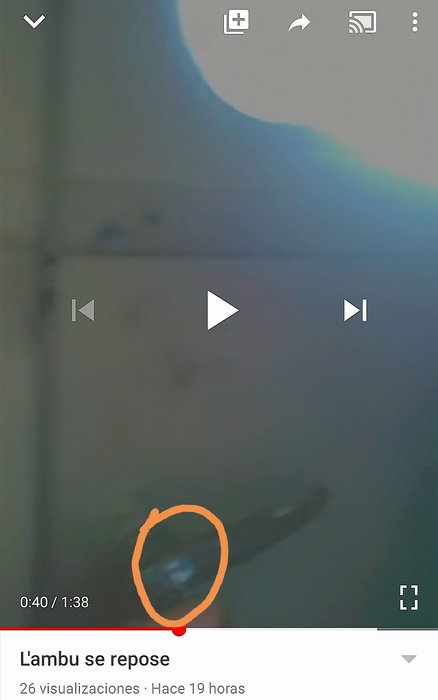 Screenshot_20200405_144753.jpg