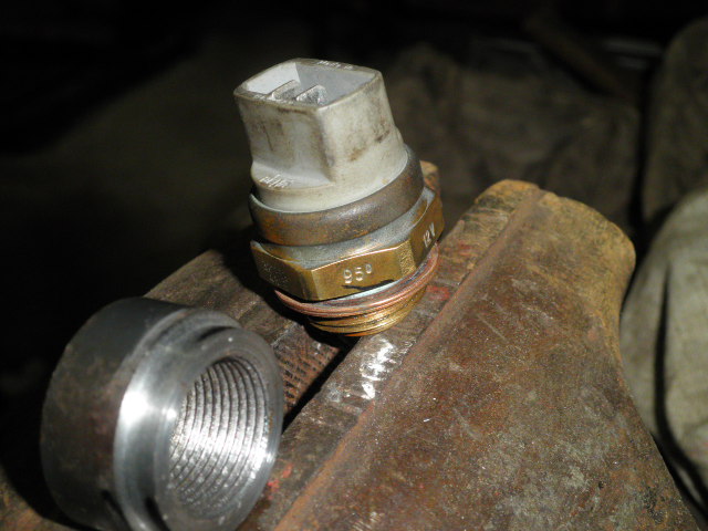 P9250015.JPG