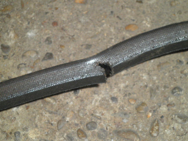 P9250006.JPG