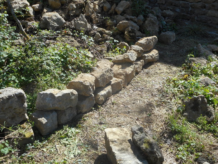DSCN2715.JPG