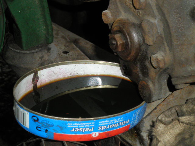 P9250005.JPG