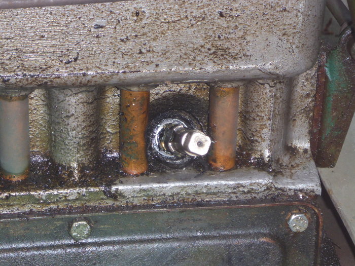 P1010032.JPG