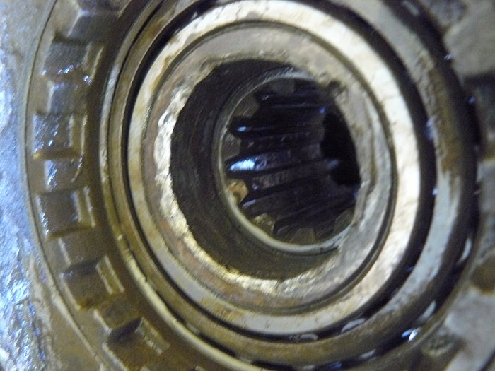 P1100591.JPG