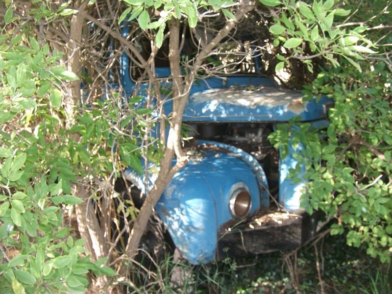 10450613_10204597177595715_8370116126005850042_n (1).jpg