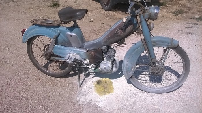 WP_20190830_001.jpg