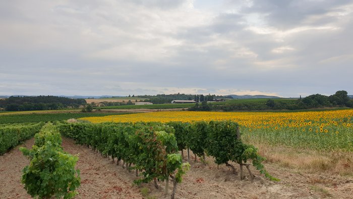 20200801_192931.jpg
