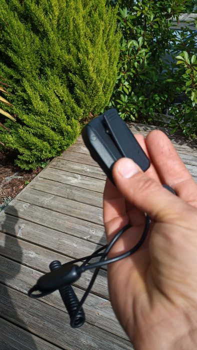 IMG_20200831_155845.jpg