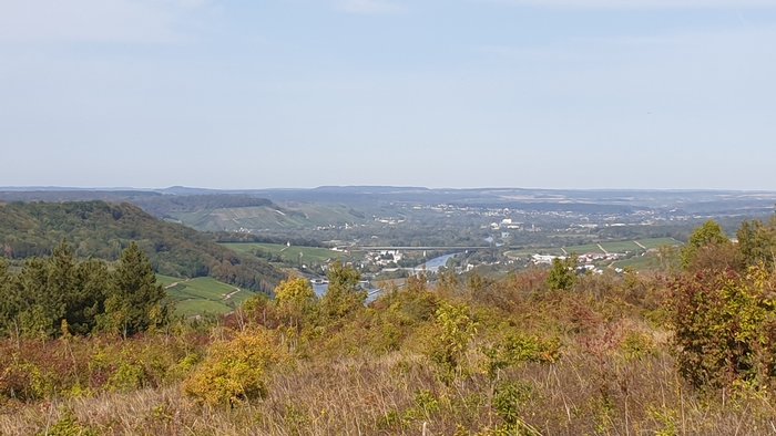 20200920_141239.jpg