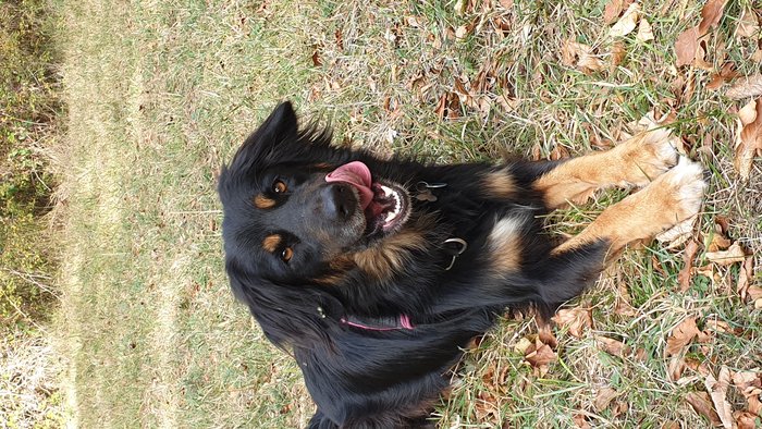 20200920_151558.jpg