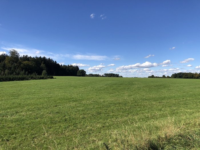 Buchendorf 06.jpg